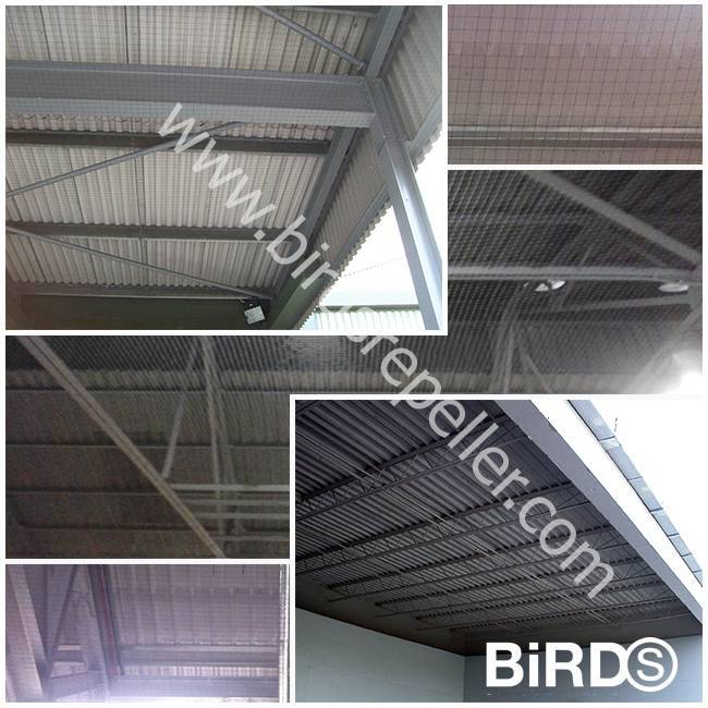 ภาพติดตั้งตาข่ายกันนก ใต้หลังคา โรงงาน โกงดัง คลังสินค้า