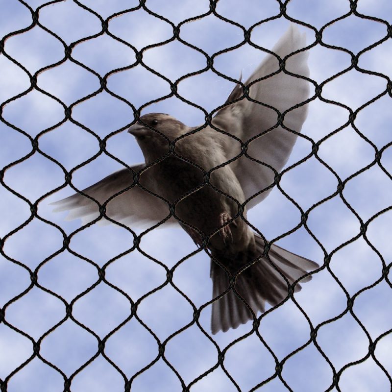 no-knot-bird-netting_1